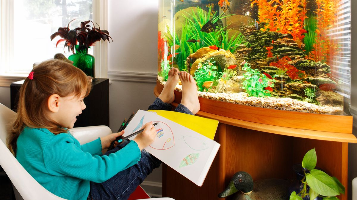 Best pets for autistic people: Children and adults | PetsRadar
