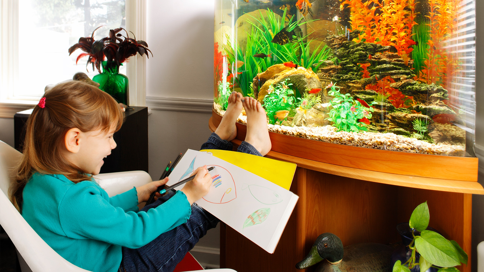 Child sitting in front of fish tank