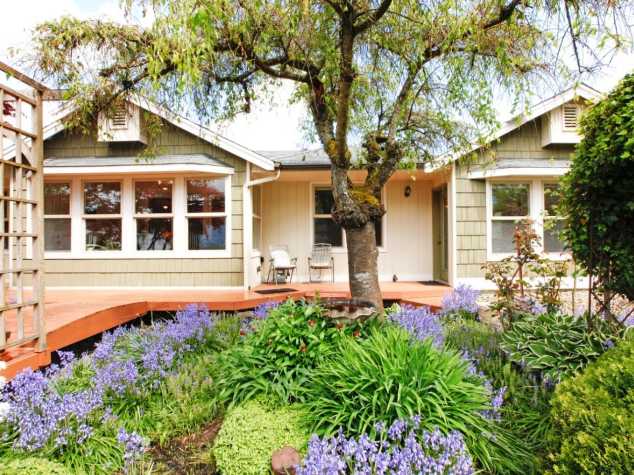 The front yard of a house filled with plants and trees