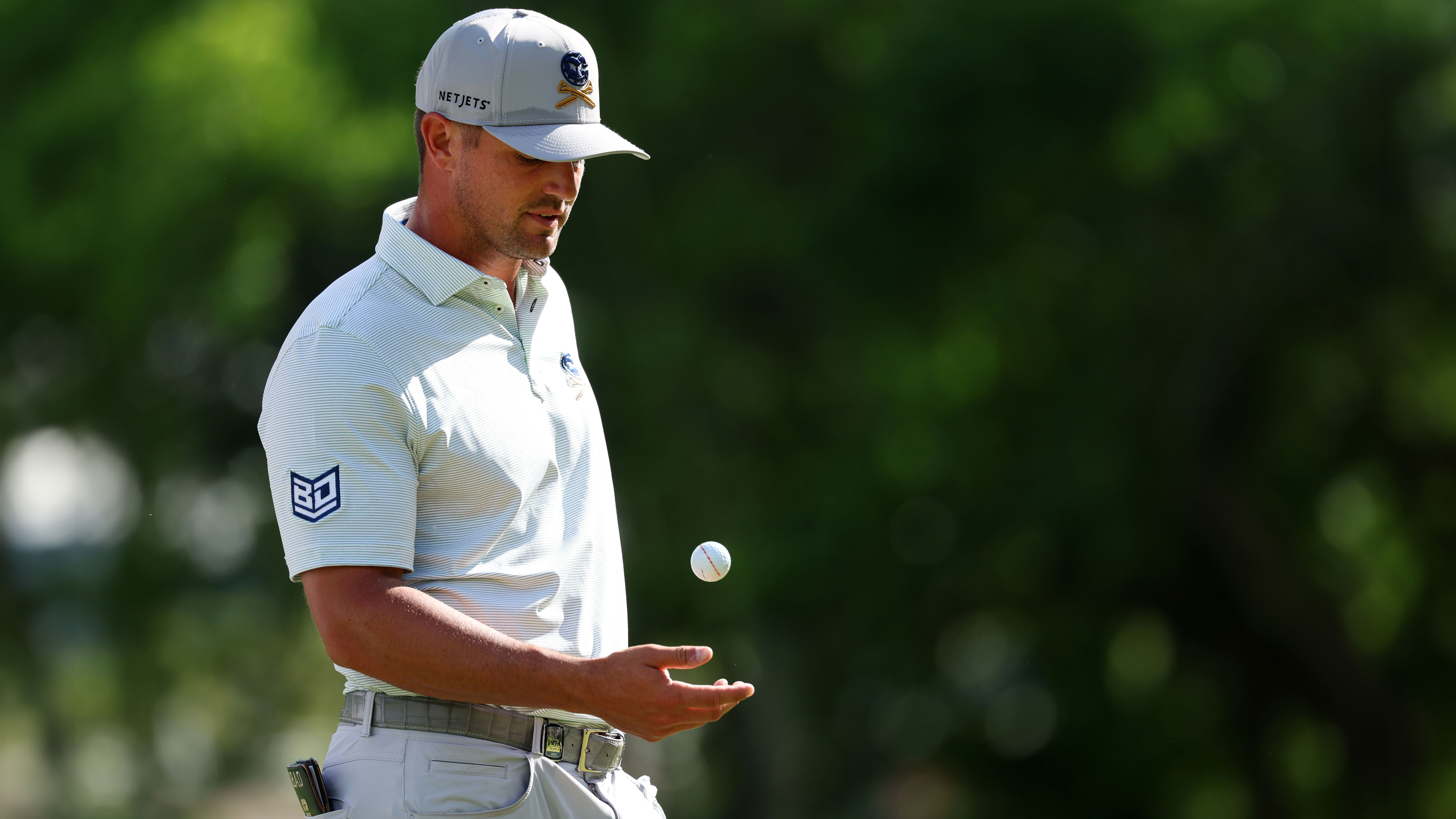 Photo of Bryson DeChambeau holding a ball