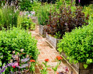 A corner of the Physic Garden at the TWIGS gardens in Swindon Wiltshire England UK