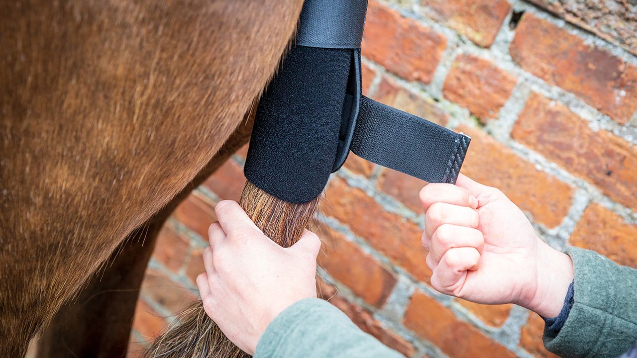 Woof Wear tail guard review