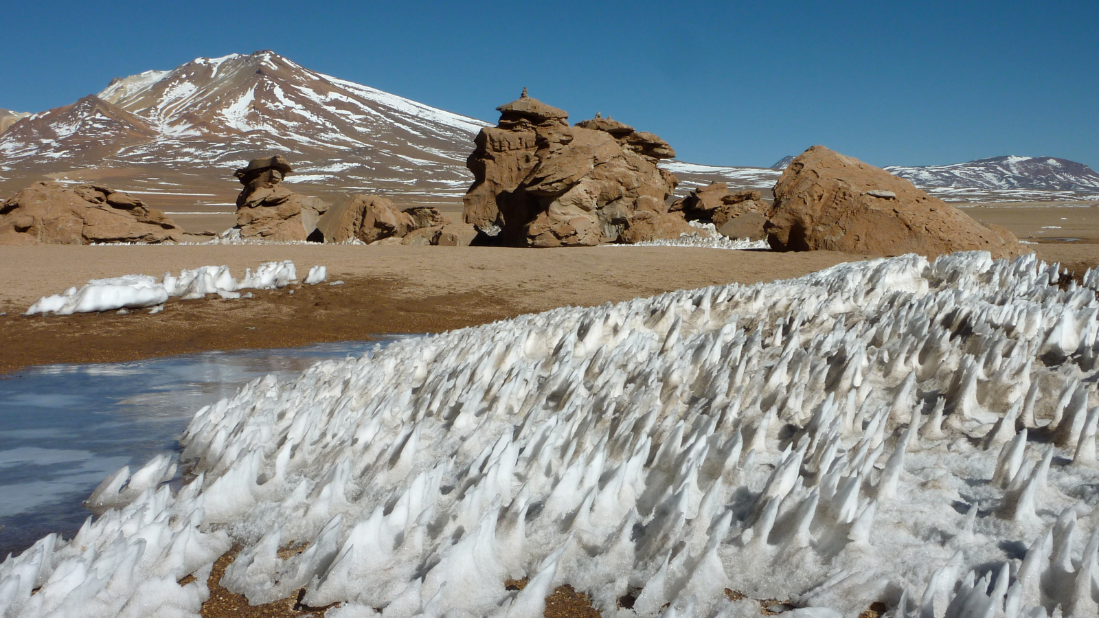 Tall thin blades of hardened snow or ice closely spaced with the blades oriented towards the general direction of the sun.