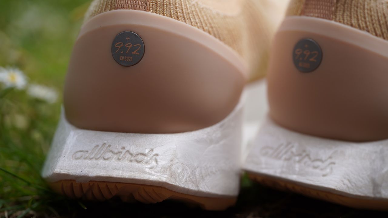 Allbirds Tree Flyers review