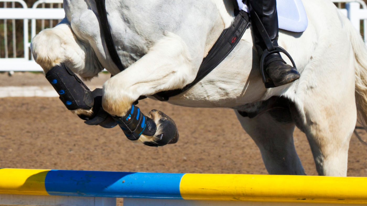 Young girl jumping a white horse pony over a jump at a showjumping event horse riding