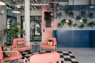 pink and blue lounge area with plant wall at BaseCamp student accommodation