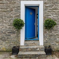A house with an electric blue front door and a potted tree on either side
