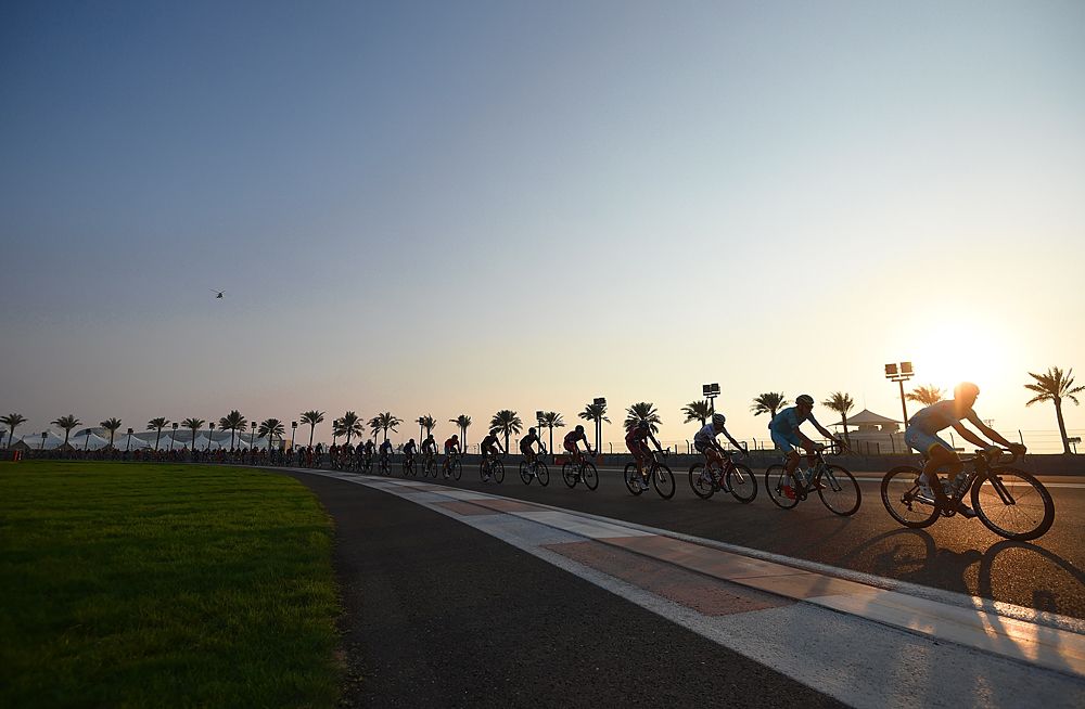 Riders lined out like the palm trees