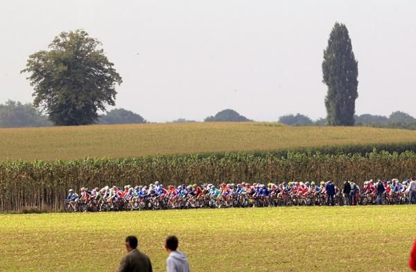 The peloton in action during the U23 men's road race world championship.