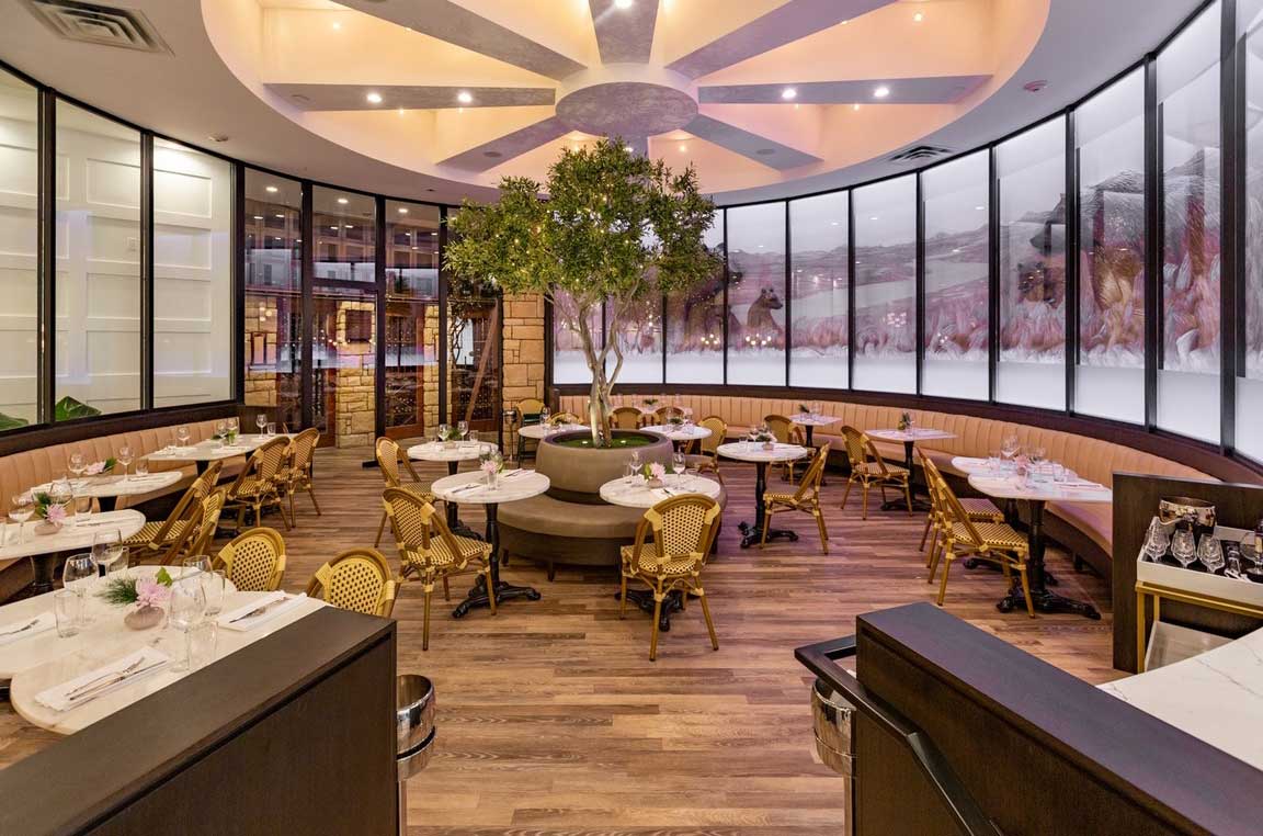 Flores and Pine, Calgary