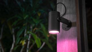 Philips Hue Lily