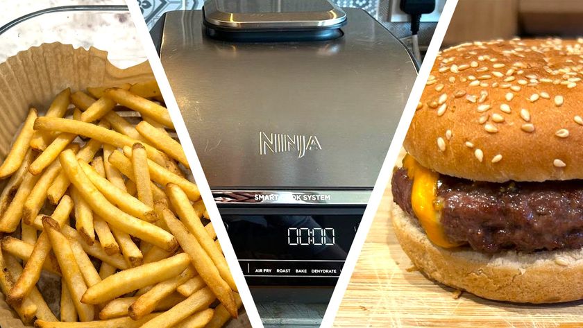 Split image of fries cooked using air fryer, Ninja 5-in-1 air fryer, and burger cooked using air fryer