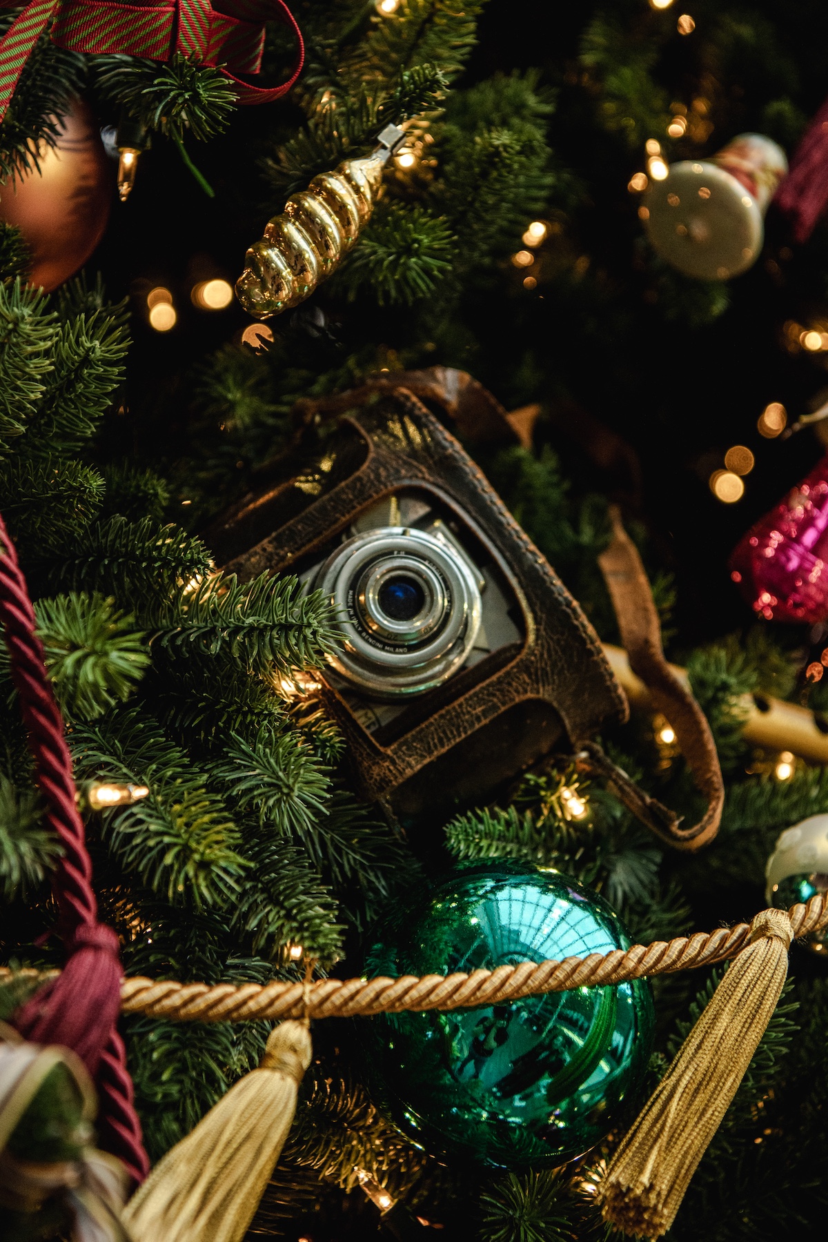 Paul Smith Christmas Tree Royal Opera House