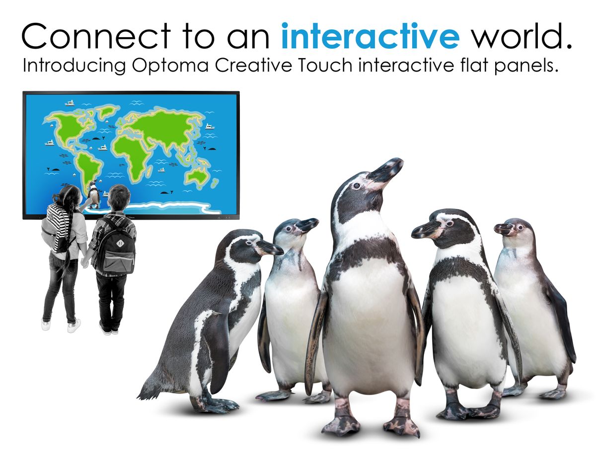 Optoma Creative Touch Interactive Flat Panel Displays