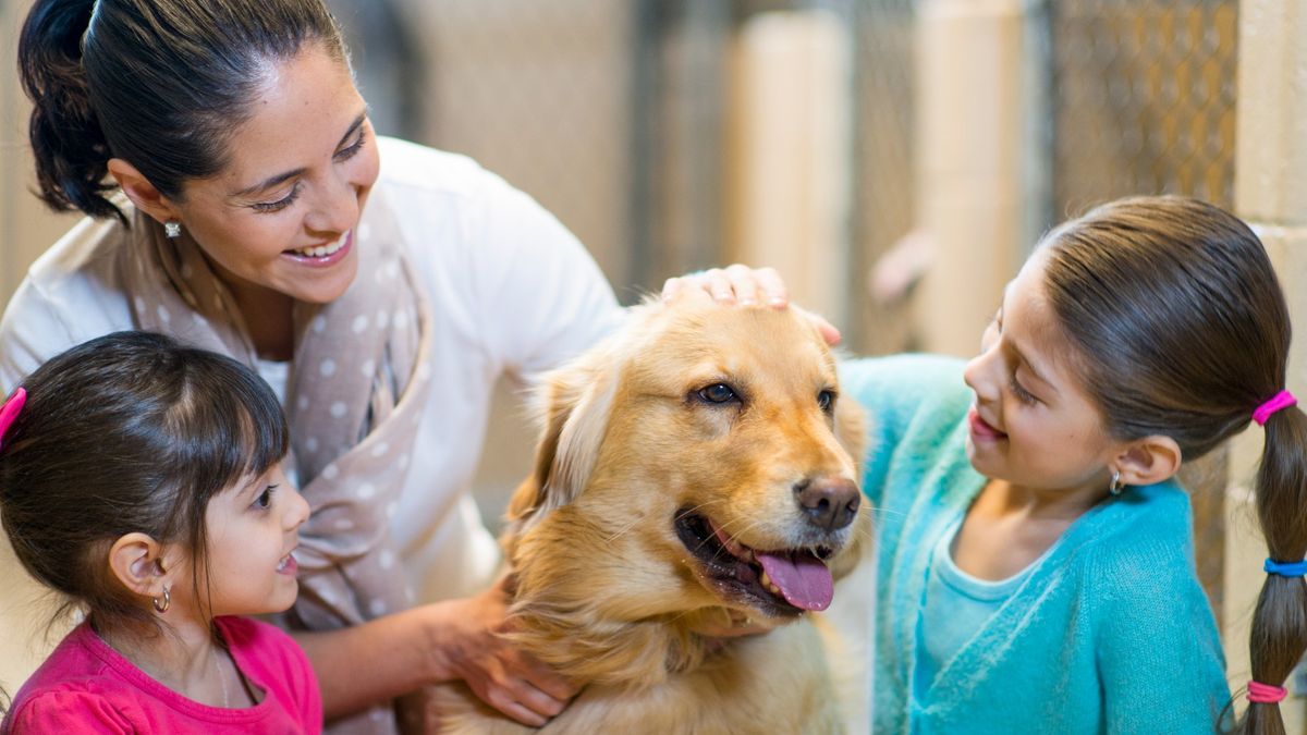 Family adopting dog from animal shelter