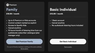 Spotify Basic Individual plan