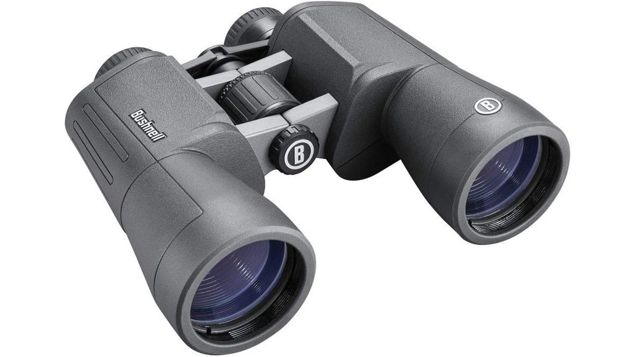 Bushnell PowerView 2 20x50 on a white background