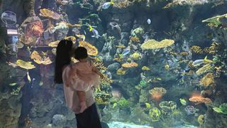 The Deep in HUll mother holding baby infront of fish