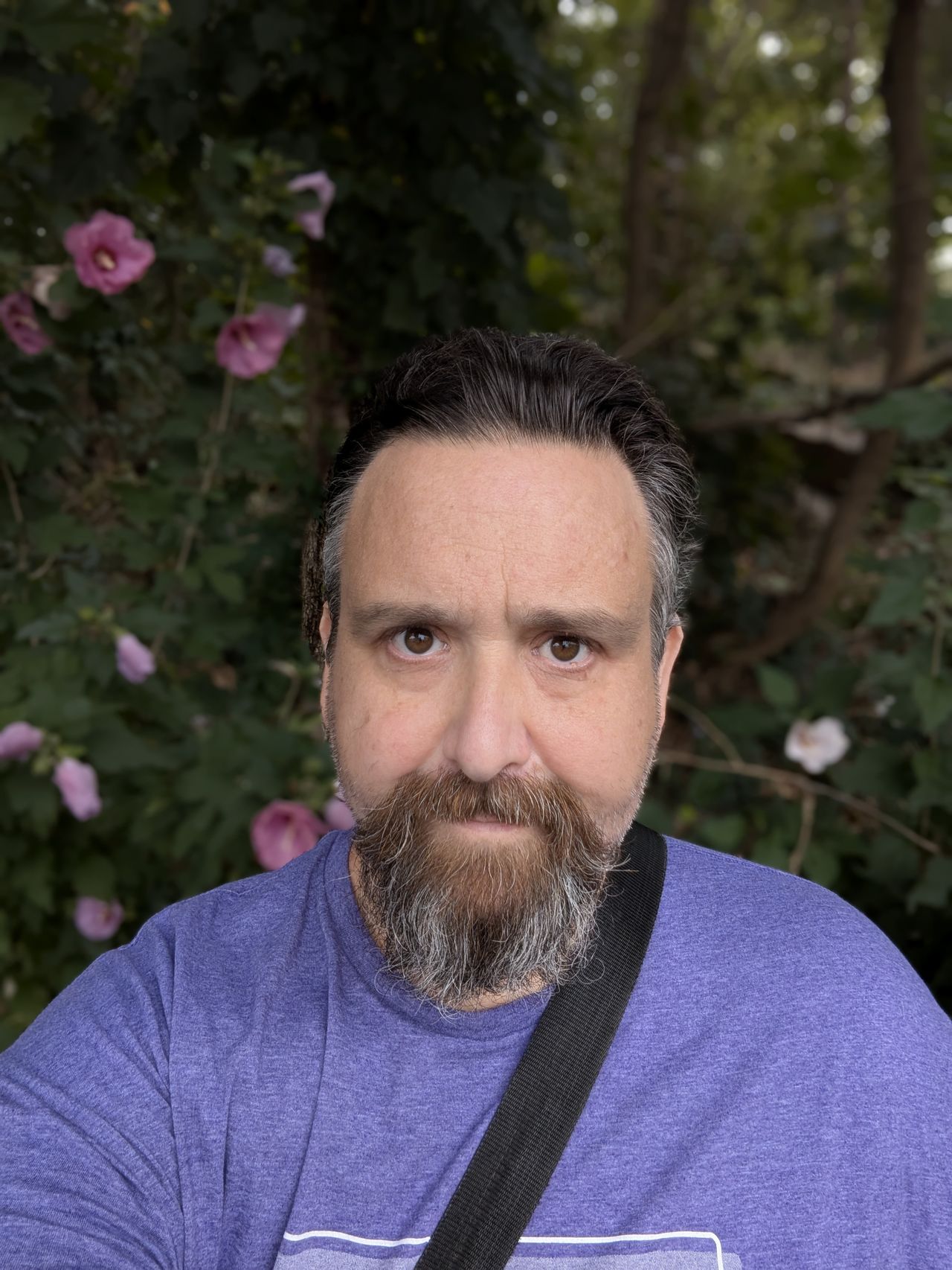 Google Pixel 9 Pro Fold camera image samples