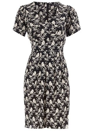 Dorothy Perkins bird print dress, £36