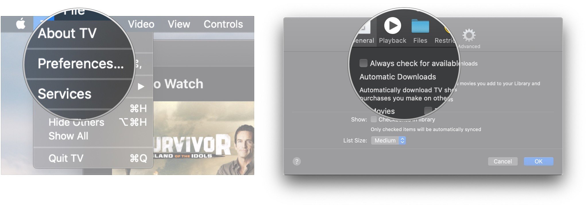 Click Preferences, click checkbox