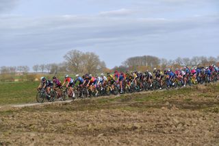 WEVELGEM BELGIUM MARCH 28 The peloton during the 10th GentWevelgem In Flanders Fields 2021 Womens Elite a 1417km race from Ypres to Wevelgem Cobblestones Landscape GWE21 GWEWomen FlandersClassic UCIWWT on March 28 2021 in Wevelgem Belgium Photo by Luc ClaessenGetty Images