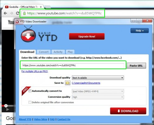 Copy and paste the URL into YTD Downloader