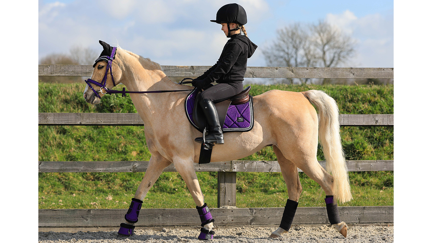Ponyo Ultimate Sparkle matchy-matchy set for ponies