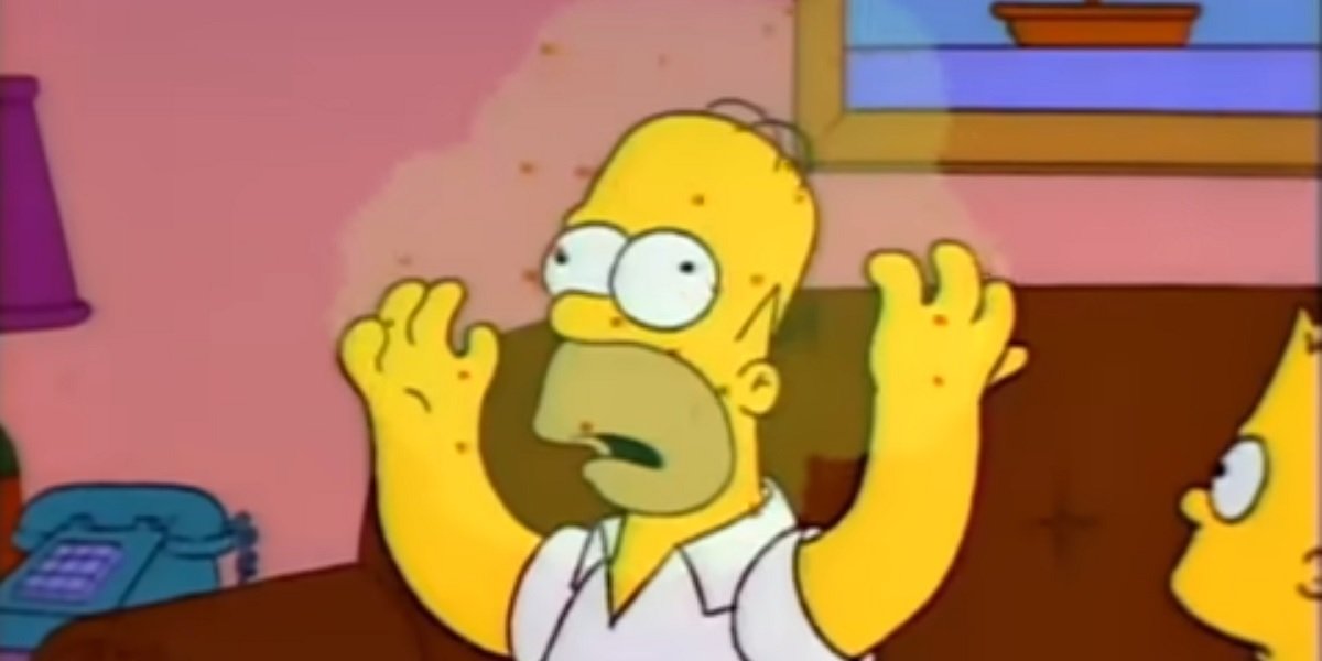 Homer Simpson The Simpsons Fox