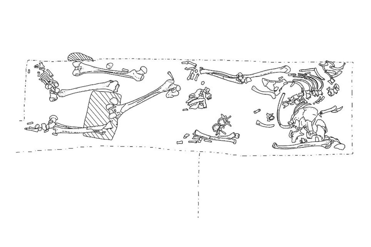 A schematic diagram showing the location of bones in the grave