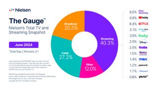 Nielsen's The Gauge TV viewing share chart