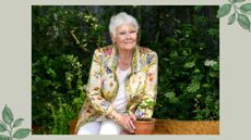 Judi Dench in a floral silk jacket and white trousers sat on a bench at the RHS Chelsea Flower Show