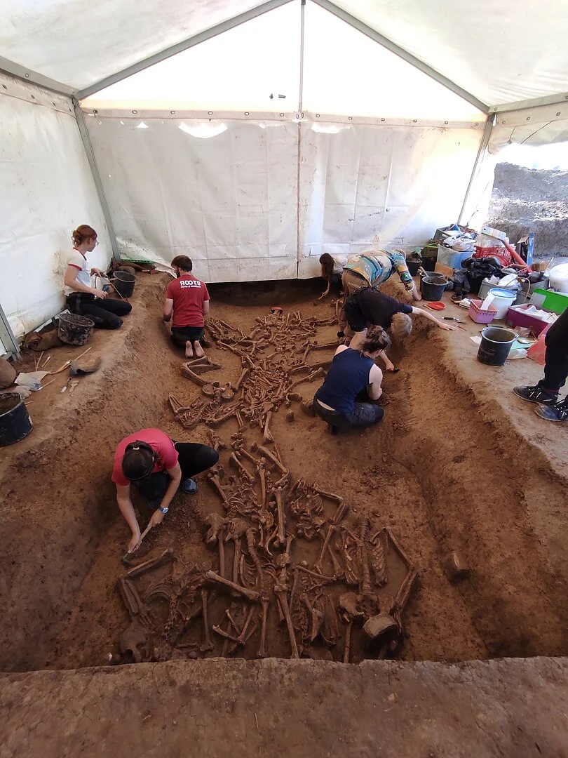 several archaeologists excavated a mass burial underneath a white tent