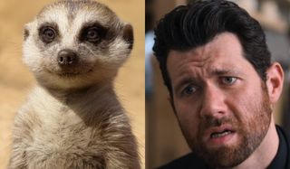 The Lion King Timon and Billy Eichner side by side