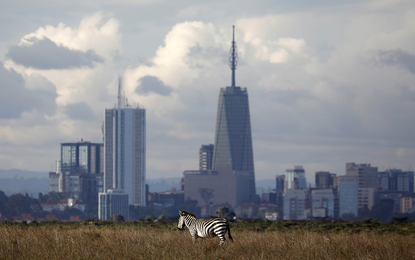 Nairobi skyline in background as a zebra walks.