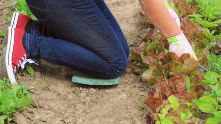 Gardener using kneeling mat