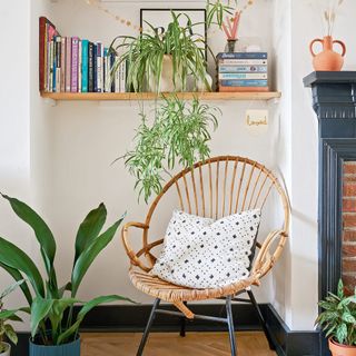 open plan space with wall hung shelving and wicker occasional chair