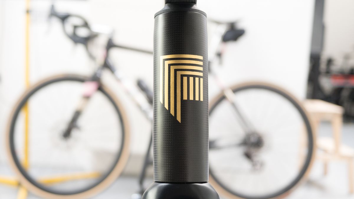 Festka Spectre gold leaf head tube