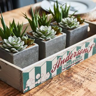 wooden countertop with potted succulents and house plants