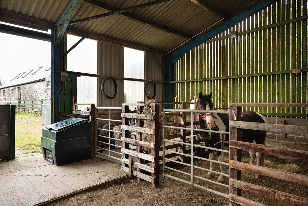 Smallholding for sale: Meadshaw, Roberton, Hawick, Scottish Borders.