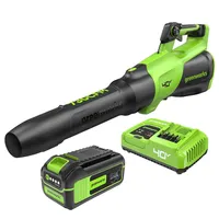 Greenworks Cordless Leaf Blower  Greenworks Cordless Leaf Blower