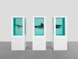 Damien Hirst, Myth Explored, Explained, Exploded, 1993, Glass, painted steel, silicone, monofilament, acrylic, shark, and formaldehyde solution, Triptych.