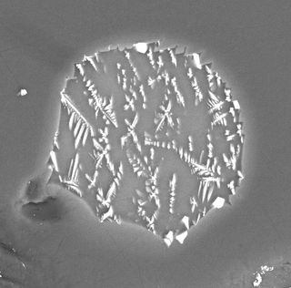 Backscatter electron image of a lunar melt inclusion from Apollo 17 sample 74220, enclosed within an olivine crystal. The inclusion is 30 microns in diameter.