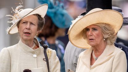 Queen Camilla's friendship with Princess Anne