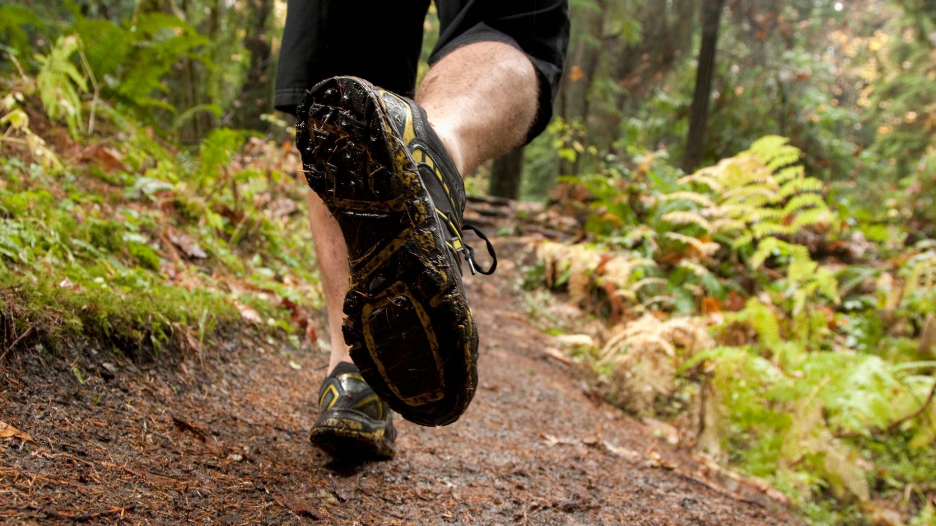 How to choose trail running shoes drop, sole, grip, weight and more