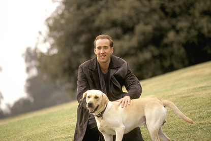 Nicolas Cage in City of Angels