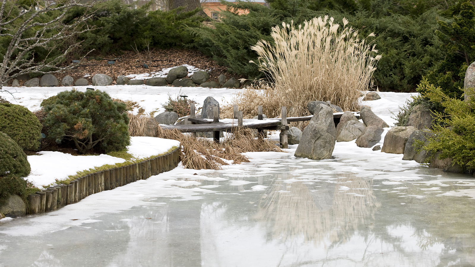 How to heat a pond in winter: 5 ideas to prevent it freezing