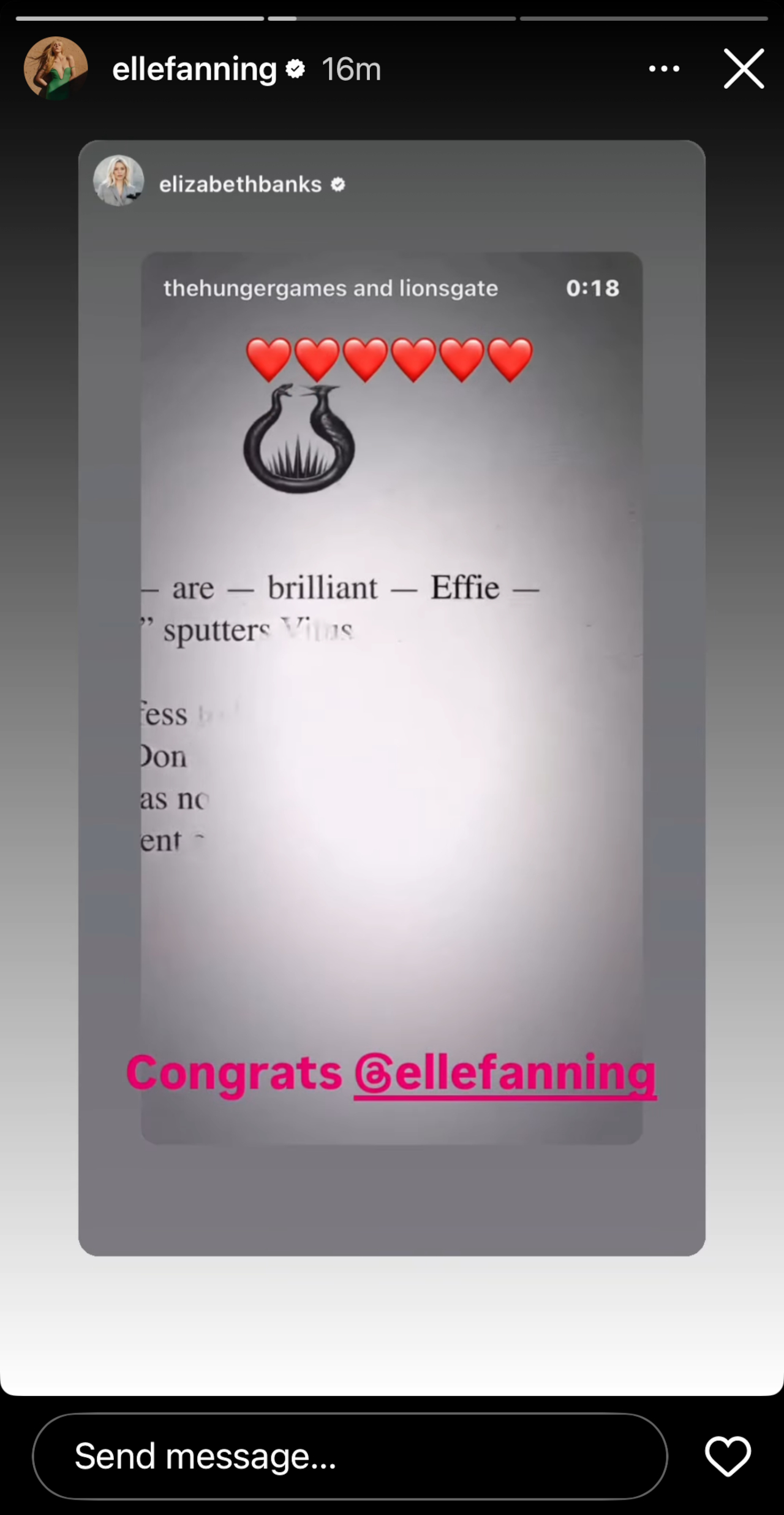 Elle Fanning shares Elizabeth Banks approval on her Instagram stories.