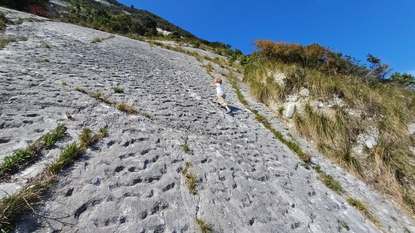 Wall side of a hill will hundreds of thousands of indentations that are prints from an ancient sea turtle stampede.