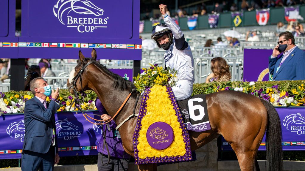 How to watch the Breeders' Cup 2021 online anywhere | What to Watch